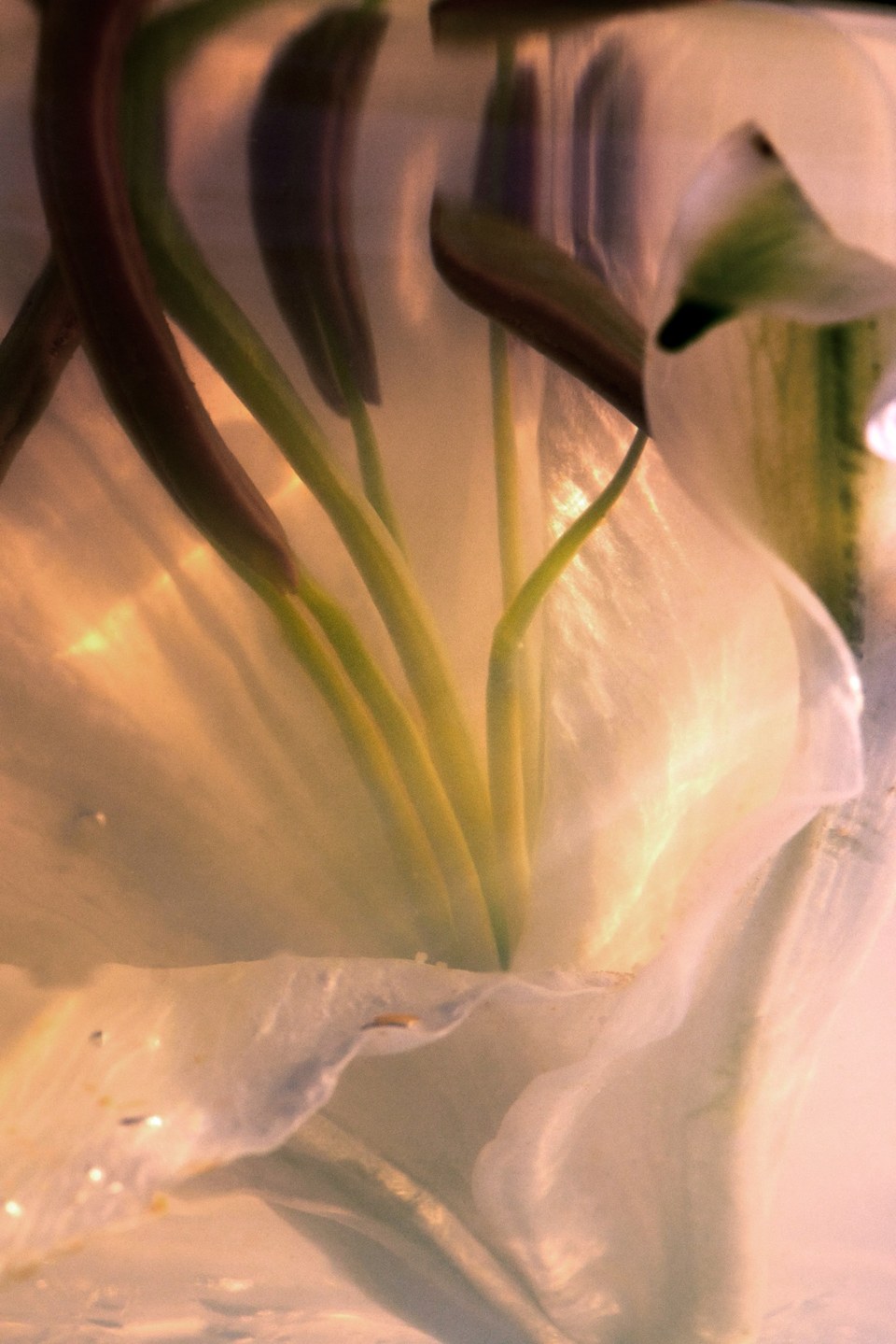 EmptyDrop